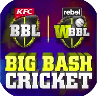 Big Bash Cricket APK v2.1